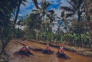 Ubud : Visite guidée d'une aventure en VTT et en quad