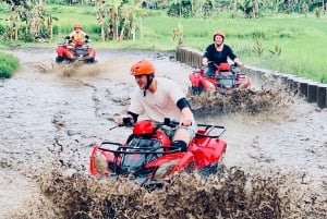 Ubud: passeio de quadriciclo, templo e cachoeira Tibumana