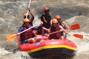Ubud: White Water Rafting, Jungle Swing & Waterfall Tour