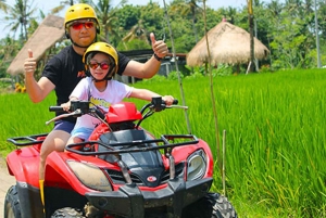 Ubud : Aventura en quad individual y en tándem con guía local