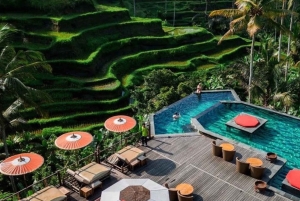 Ubud: ATV Tour with D’tukad Coffee Club