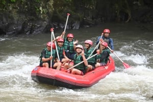 Ubud: Ayung River Guided Rafting Adventure Included Lunch