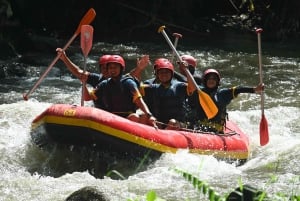 Ubud: Ayung River Guided Rafting Adventure Included Lunch