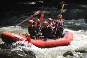 Ubud: Ayung River Guided Rafting Adventure Included Lunch