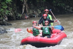 Ubud: Ayung River Guided Rafting Adventure Included Lunch