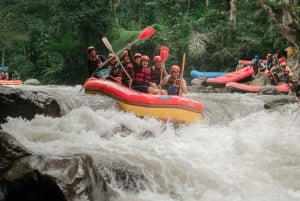 Ubud: Rafting i Ayung-elven med lunsj og transport