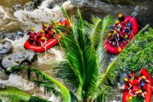 Ubud: Rafting i Ayung-elven med lunsj og transport