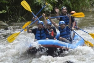 Ubud: Rafting i Ayung-elven med lunsj og transport