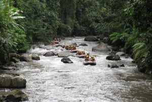 Ubud: Ayung River Rafting Include Lunch