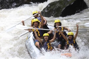 Ubud: Ayung River Rafting Include Lunch