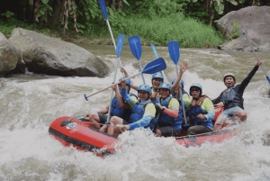 Ubud: Ayung River Rafting with Buffet Lunch and Transfers