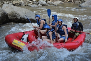 Ubud: Ayung River Rafting with Buffet Lunch and Transfers