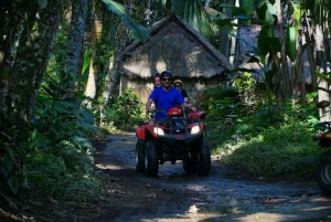 Ubud Bali: Alasan Adventure Atv & Cretya Sunset Free Access