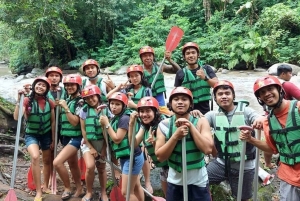 Ubud: Bali bintang Rafting Adventure with Lunch & insurance