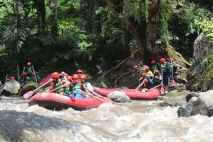 Ubud: Bali bintang Rafting Adventure with Lunch & insurance