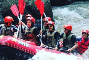 Ubud: Bali bintang Rafting Adventure with Lunch & insurance