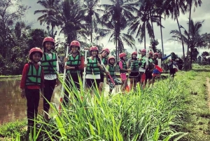 Ubud: Bali bintang Rafting Adventure with Lunch & insurance