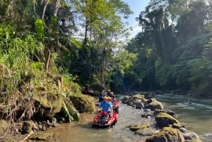 Ubud Bali: Gorilla Face ATV & Jungle Swing with Lunch