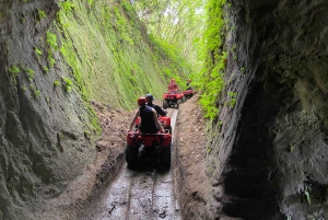 Ubud Bali: Gorilla Face ATV & Jungle Swing with Lunch