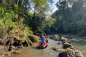 Bali: Ubud ATV Quad Bike, Jungle Swing & Rice Terrace Tour