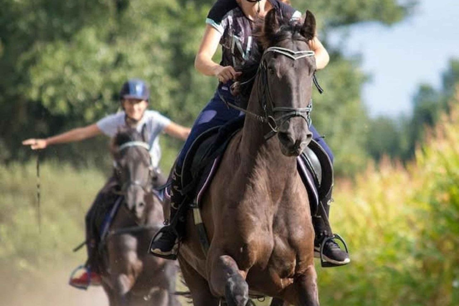 ウブド・バリ:ワインとパノラマビューを楽しむ乗馬ツアーをお楽しみください