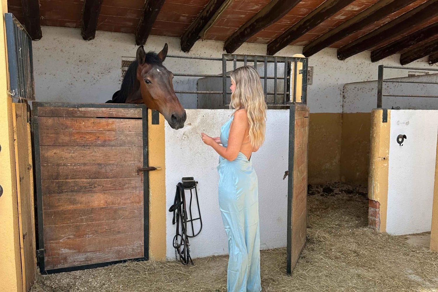 Ubud-Bali: Horseback Riding Tour with Wine & Panomaric View