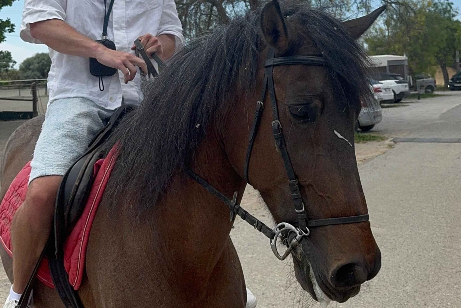 Ubud-Bali: Horseback Riding Tour with Wine & Panomaric View