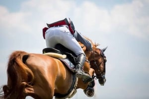 ウブド・バリ:ワインとパノラマビューを楽しむ乗馬ツアーをお楽しみください