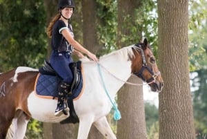 ウブド・バリ:ワインとパノラマビューを楽しむ乗馬ツアーをお楽しみください