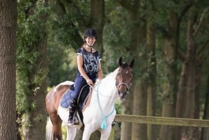 ウブド・バリ:ワインとパノラマビューを楽しむ乗馬ツアーをお楽しみください
