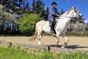 ウブド・バリ:ワインとパノラマビューを楽しむ乗馬ツアーをお楽しみください