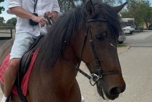 Ubud-Bali: Horseback Riding Tour with Wine & Panomaric View