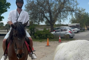 Ubud-Bali: Horseback Riding Tour with Wine & Panomaric View