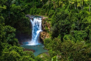 Ubud: Excursión personalizada a Bali Ubud con traslado