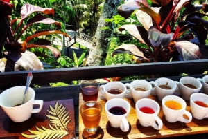 Ubud: Excursión personalizada a Bali Ubud con traslado