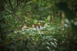 ウブド：バリ島プリーナツアー（スイング＆テガラングライステラス付