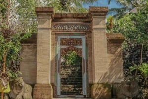 ウブド：バリ島プリーナツアー（スイング＆テガラングライステラス付