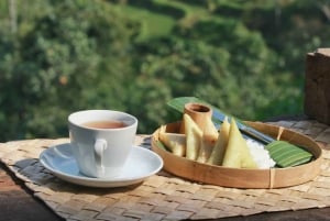 ウブド：バリ島プリーナツアー（スイング＆テガラングライステラス付