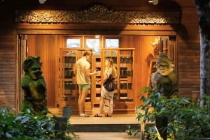 ウブド：バリ島プリーナツアー（スイング＆テガラングライステラス付