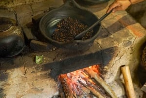 ウブド：バリ島プリーナツアー（スイング＆テガラングライステラス付