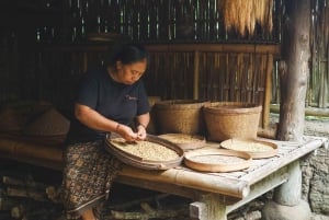 ウブド：バリ島プリーナツアー（スイング＆テガラングライステラス付