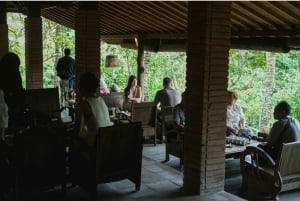 ウブド：バリ島プリーナツアー（スイング＆テガラングライステラス付