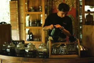 ウブド：バリ島プリーナツアー（スイング＆テガラングライステラス付