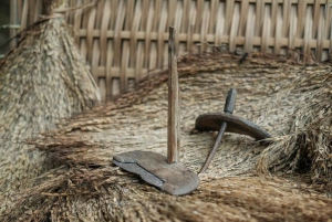 ウブド：バリ島プリーナツアー（スイング＆テガラングライステラス付