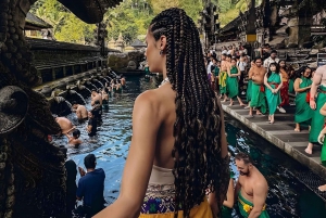 UBUD: Bali Swing, Water Temple, Rice Terrace, Waterfall Tour