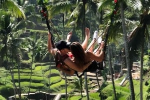 Ubud: Bali Swing, Water Temple, Rice Terrace, Waterfall Tour