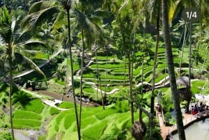 Ubud: Bali Swing, Water Temple, Rice Terrace, Waterfall Tour