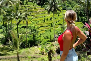 Ubud: Bali Swing, Water Temple, Rice Terrace, Waterfall Tour