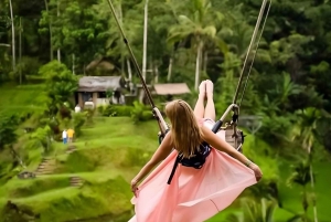 Ubud: Bali Swing, Water Temple, Rice Terrace, Waterfall Tour