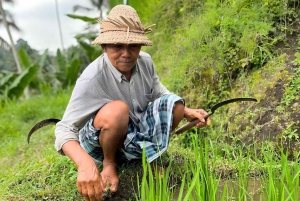 Ubud: Bali Swing, Water Temple, Rice Terrace, Waterfall Tour